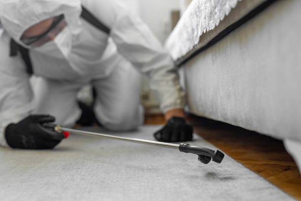 Professional Cockroach Control technician working in Sandwich, IL