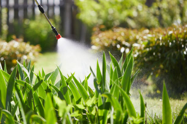 24/7 Emergency Cockroach Control experts in Sandwich, IL