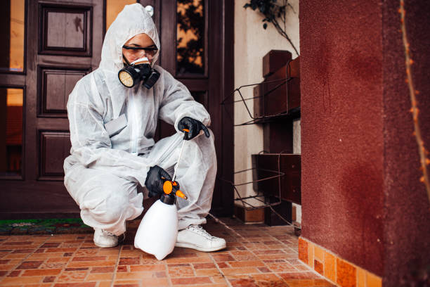 Reliable Cockroach Control contractor in Sandwich, IL by Nex Pest Control