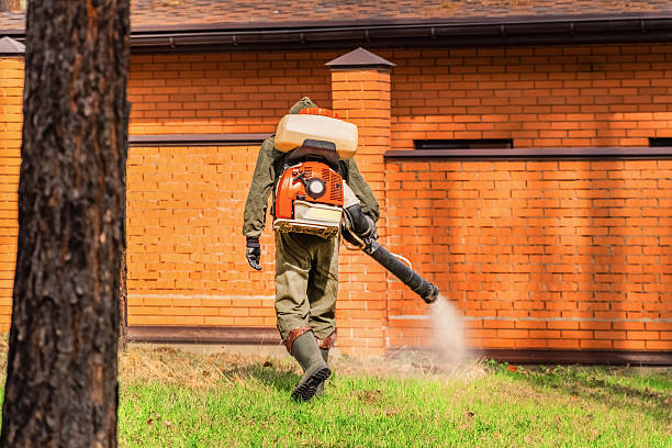 Top rated local Cockroach Control specialists in Sandwich, IL
